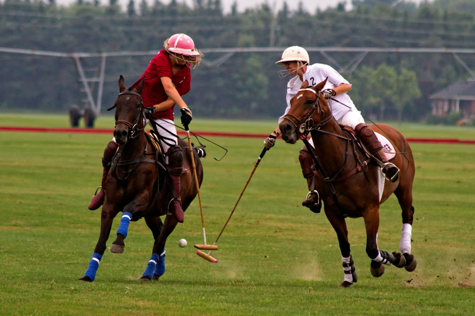 Polo players in chukka on the field